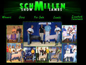 Schmillen Show Lambs